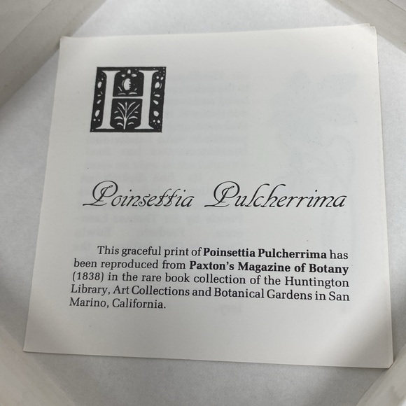 Pimpernel 6 Pc. Poinsettia Botanical Print Cork Coaster Set - made in England - Picture 5 of 9